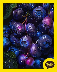 Fresh Blueberry Berries With Dew 카카오톡 테마 카톡테마 무료 다운로드