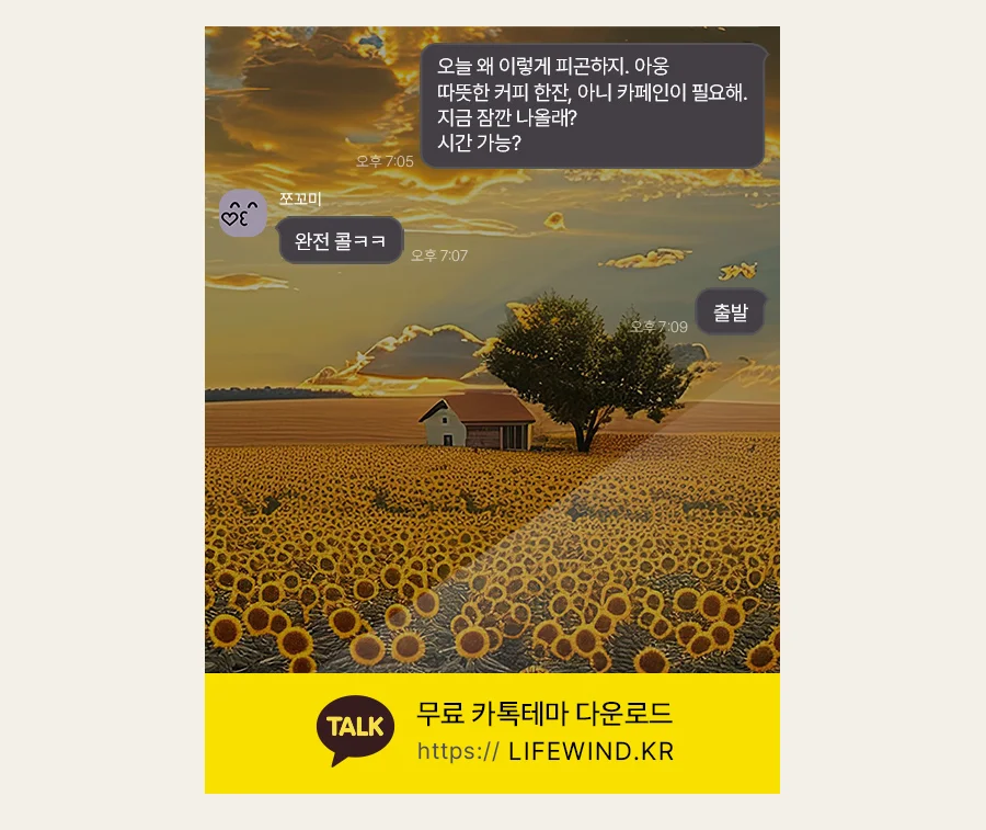 Sunflower Field In Late Afternoon 카카오톡 테마 카톡테마 무료 다운로드