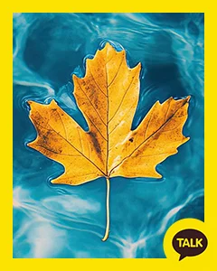 Yellow Maple Leaves On A Clear Lake 카카오톡 테마 카톡테마 무료 다운로드